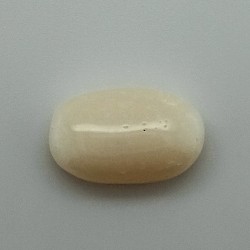 White Coral (Safed Moonga)  7.29 Ct Best Quality 
